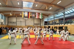 MDEM_U15_Judoclub_Leipzig_012