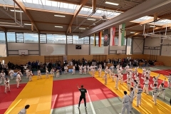 MDEM_U15_Judoclub_Leipzig_016